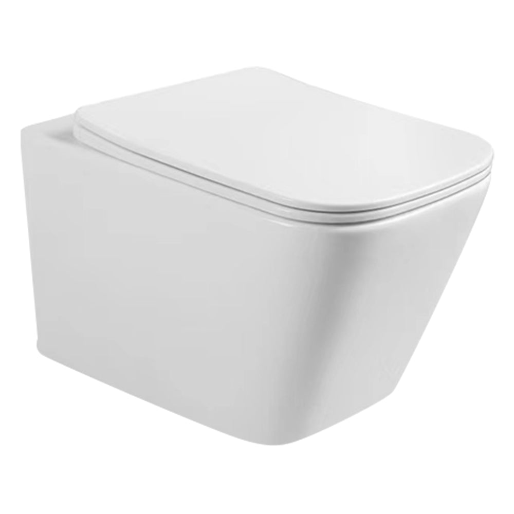 RODBO WALL HUNG WC-ROD-8014