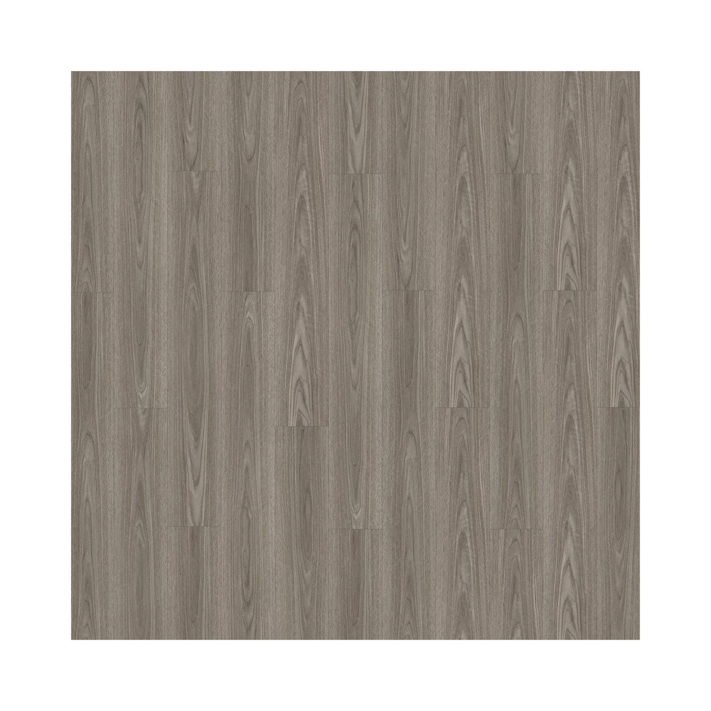 SPC Flooring Alpine Mist Silver Ash (Plank)