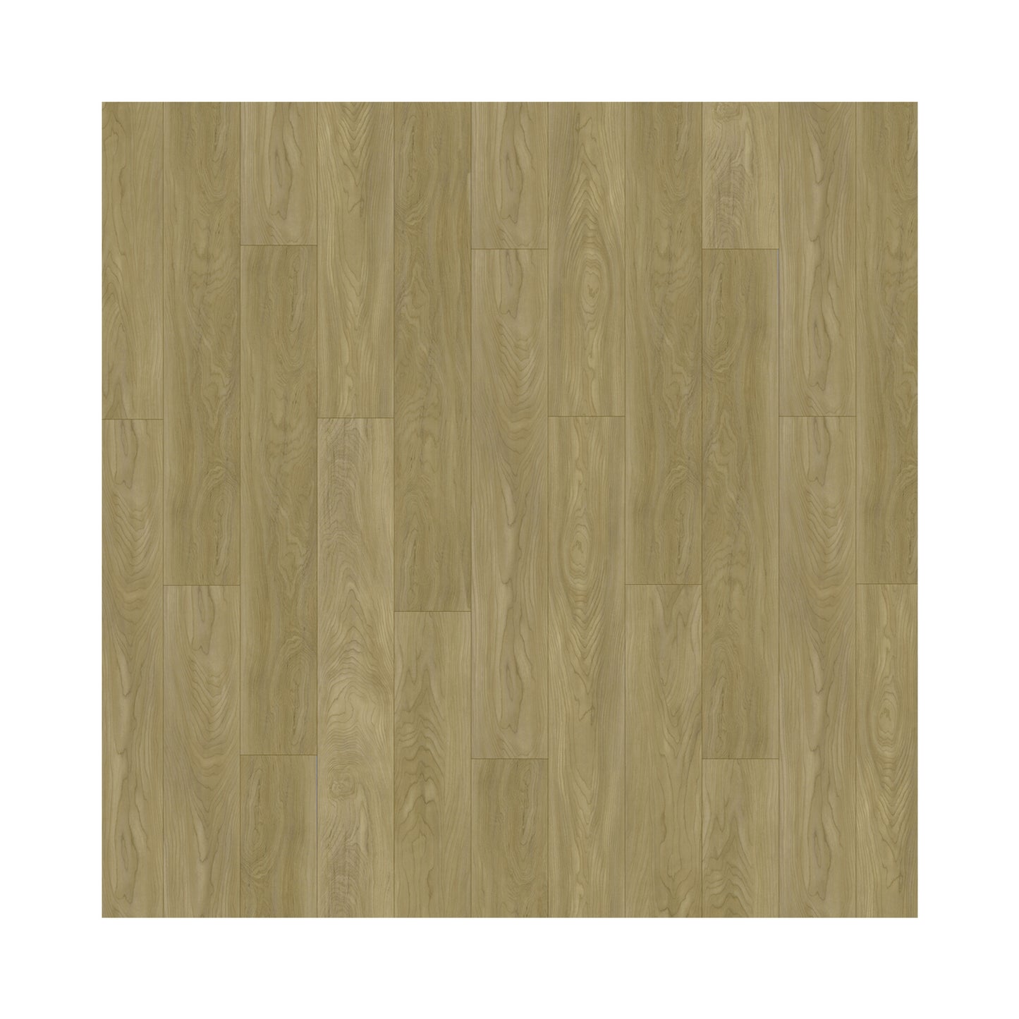 SPC Flooring Pannonian Golden Nectar Birch (Plank)