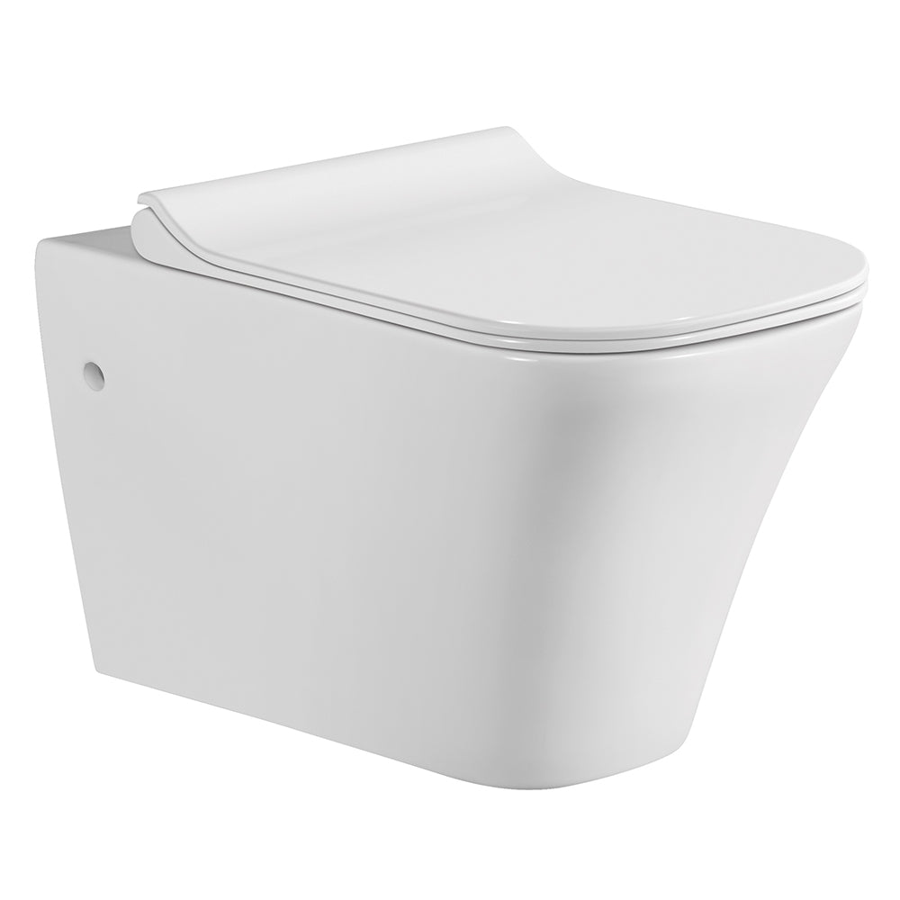 ADVER WALL HUNG WC-ADV-8011