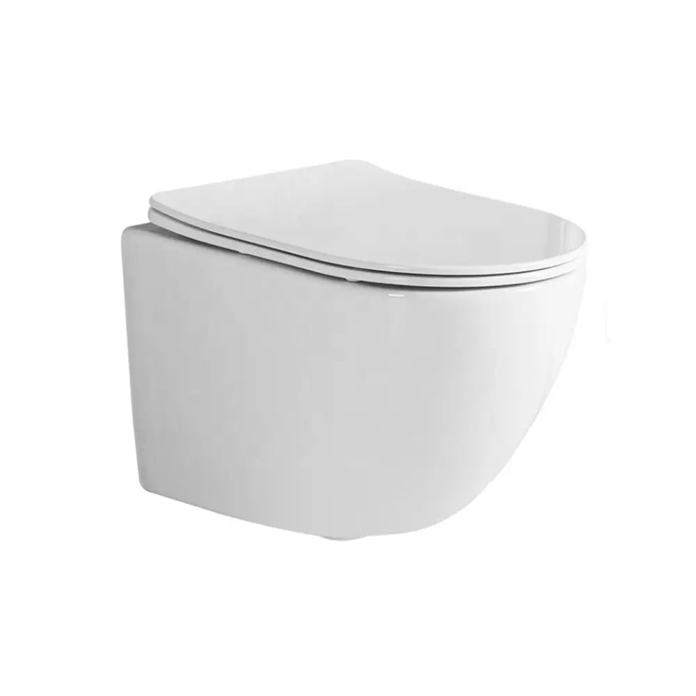 BACK TO WALL WC-RAM-402