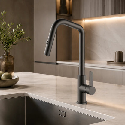 GOTHEN KITCHEN MIXER W/ PULL OUT SHOWER-GOT-292