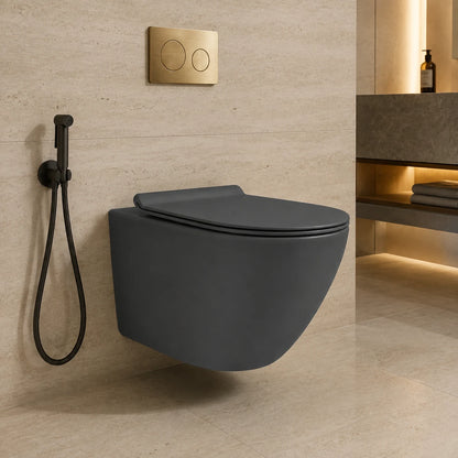 PARON WALL HUNG WC-PAR-201