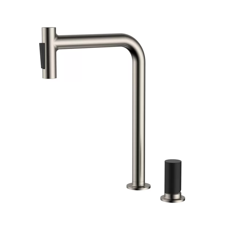 Kitchen Mixer with Pull Out Shower
